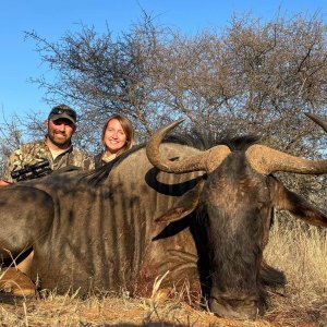 Blue Wildebeest Hunt Limpopo South Africa