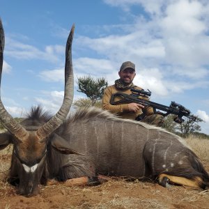 Nyala Hunt Limpopo South Africa