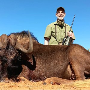 Black Wildebeest Hunt South Africa