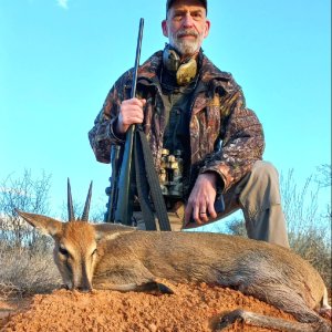 Gray Duiker Hunt South Africa