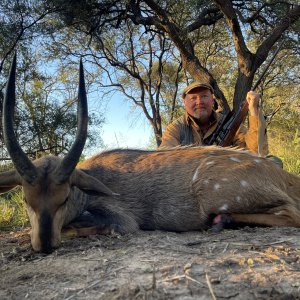 Bushbuck Hunt Limpopo South Africa