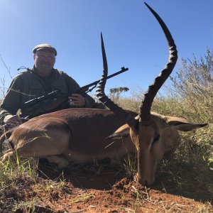 Impala Hunt Limpopo South Africa