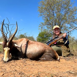 Blesbok Hunt Limpopo South Africa