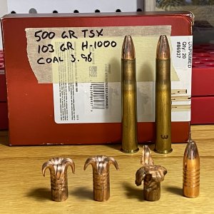 500 grain Barnes TSX Ammunition