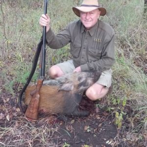 Bushpig Hunt Ngurungundu Zimbabwe