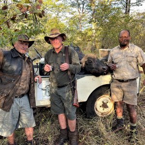 Buffalo Hunt Ngurungundu Zimbabwe