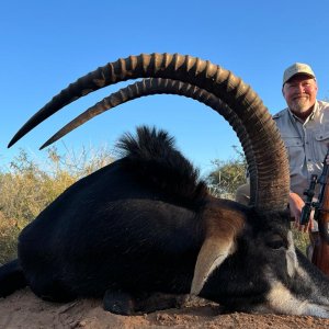 Sable Hunt Limpopo South Africa