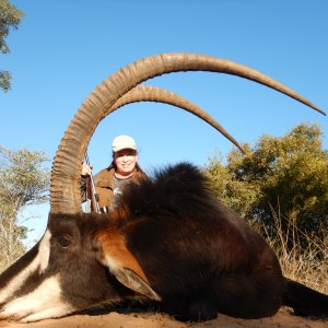 Sable Hunt Limpopo South Africa