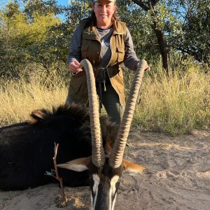 Sable Hunt Limpopo South Africa