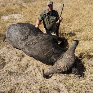 Buffalo Hunt Zimbabwe