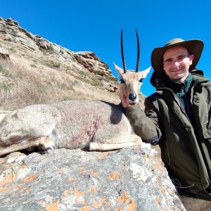 Vaal Rhebok Hunting Eastern Cape South Africa