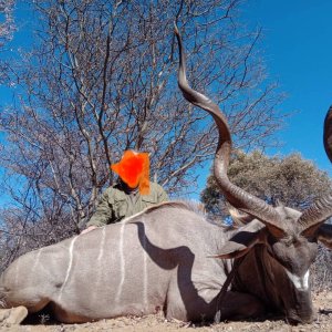 Kudu Hunt Botswana