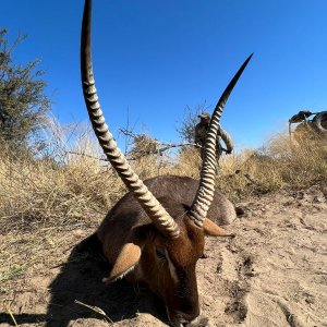 Lechwe Hunt Botswana