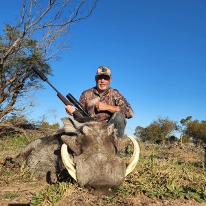 Warthog Hunt South Africa