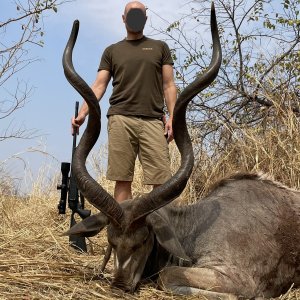 Kudu Hunting Zimbabwe