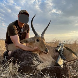 Reedbuck Hunting Zimbabwe