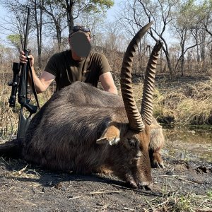 Waterbuck Hunting Zimbabwe