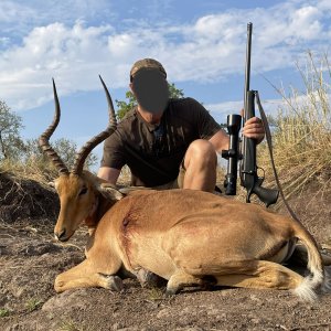 Impala Hunting Zimbabwe