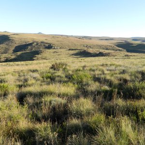 Scenery Eastern Cape South Africa