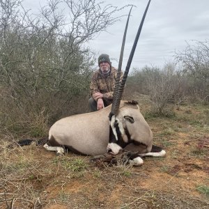 Gemsbok Hunting