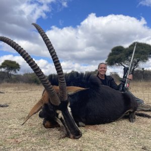 Sable Hunting South Africa