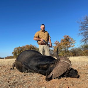 Buffalo Hunting Zimbabwe