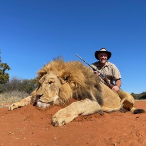 Lion Hunting Zimbabwe