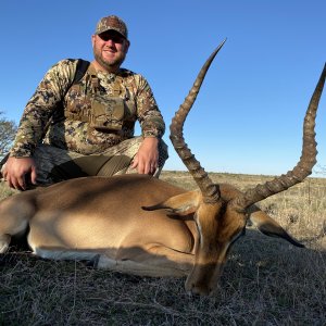 Impala Hunting South Africa