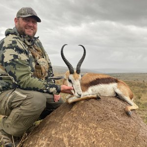 Springbok Hunting South Africa