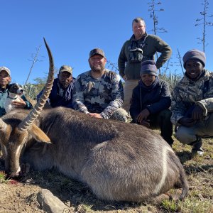 Waterbuck Hunting South Africa