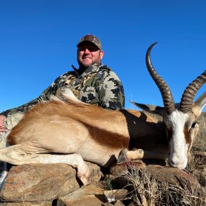 Springbok Hunting South Africa