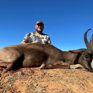 Black Springbok Hunting South Africa