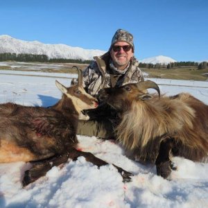 Tahr & Chamois Hunting New Zealand