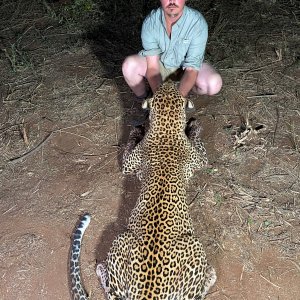 Leopard Hunting Tanzania