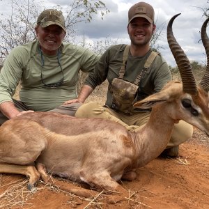 Gerenuk Hunting Tanzania