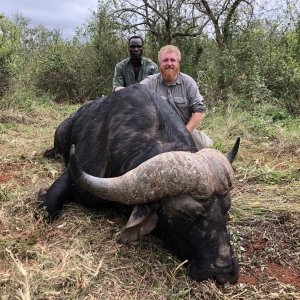 Buffalo Hunting Tanzania