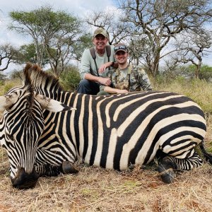 Zebra Hunting Tanzania