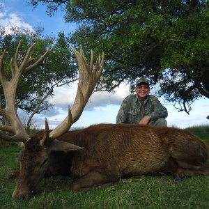 Red Stag Hunting Argentina