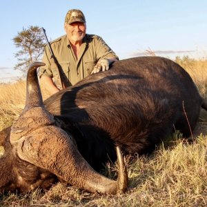 Cape Buffalo Hunt South Africa