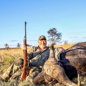 Cape Buffalo Hunt South Africa