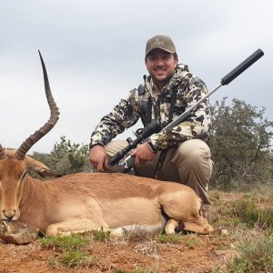 Impala Hunt Eastern Cape South Africa