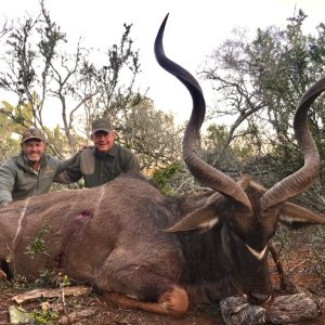 Kudu Hunt Eastern Cape South Africa