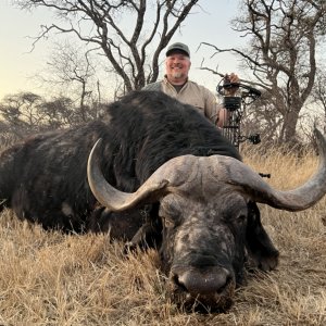 Buffalo Bow Hunting South Africa