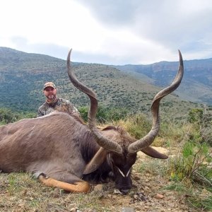 Kudu Hunting Eastern Cape South Africa