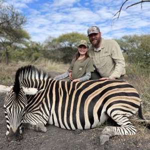 Zebra Hunt South Africa