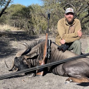 Blue Wildebeest Hunt South Africa