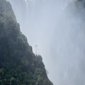 Victoria Falls