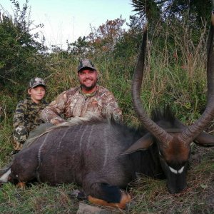 Nyala Hunt Eastern Cape South Africa