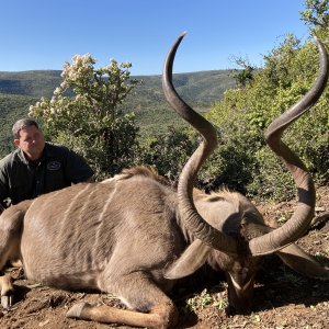 Kudu Hunt South Africa