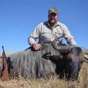 Blue Wildebeest Hunting Eastern Cape South Africa